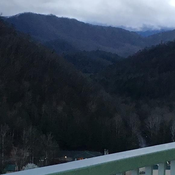 Meet your Posher, Mel - Picture 5 of 7